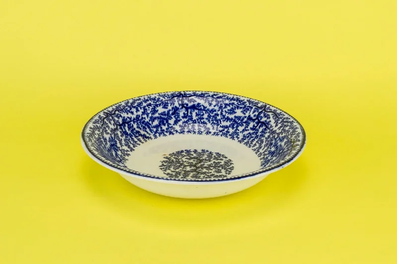 biodegradable dinner plates -Blue and white serving bowl