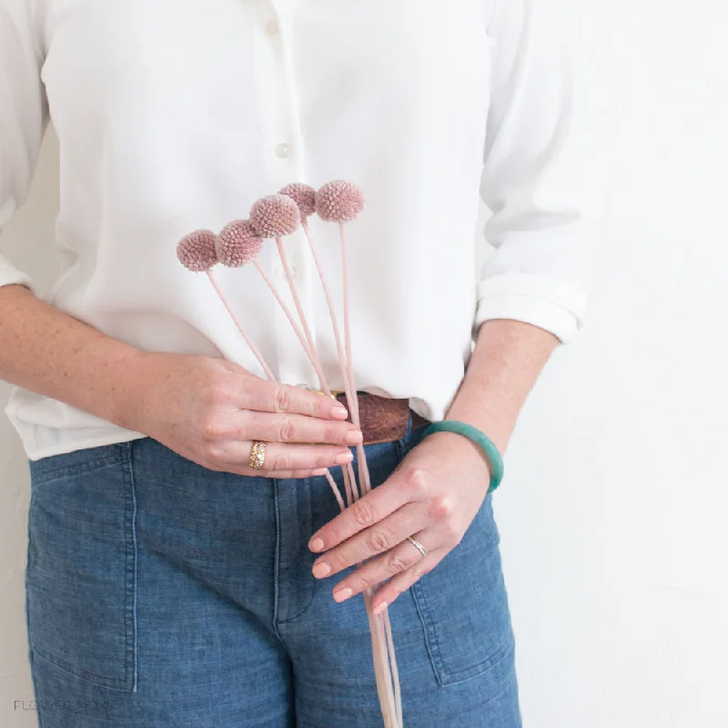 flower vase for tall arrangements -Dried Blush Billy Buttons - Blush Craspedia