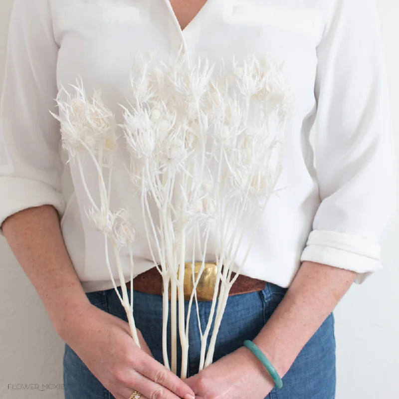 decorative flower vase for living room -Dried Bleached White Thistle Flower