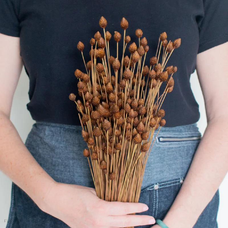 unique decorative ceramic flower vase -Dried Brown Pineapple Button Flowers