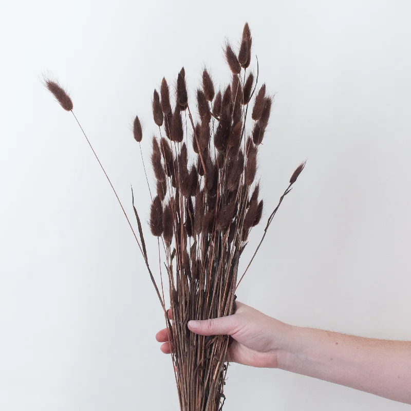 small decorative vase with flowers -Chocolate Dried Bunny Tail Grass