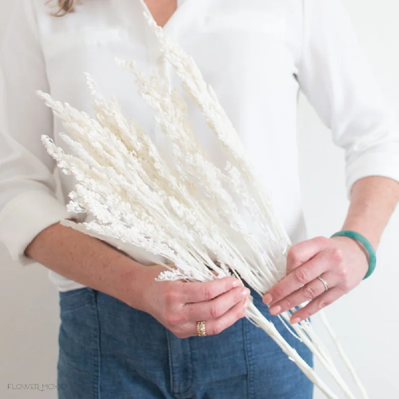 wide flower vase -Dried Bleached White Solidago Goldenrod