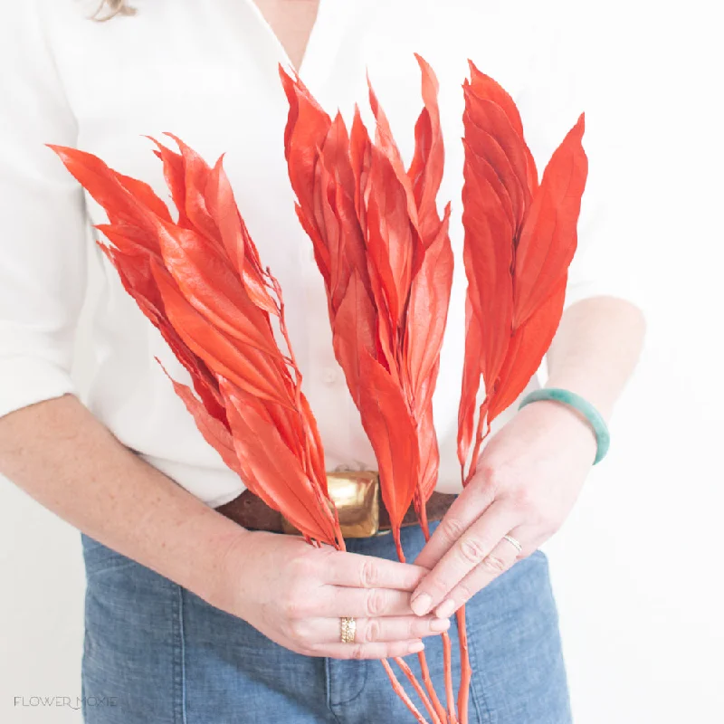 stylish flower vase -Dried Cocculus Earth Red