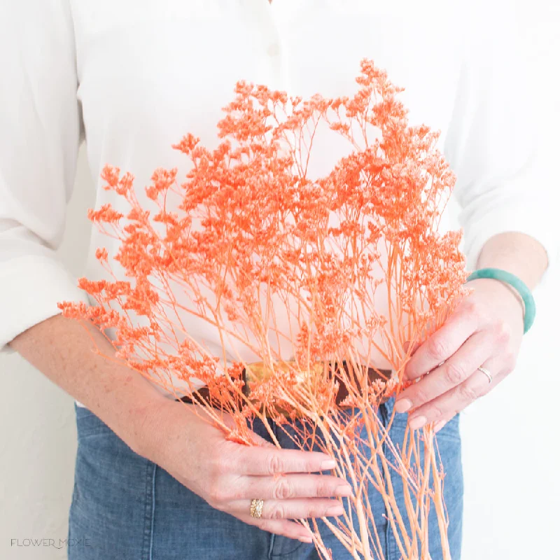 large glass flower jar for home decor -Dried Coral Limonium Flower