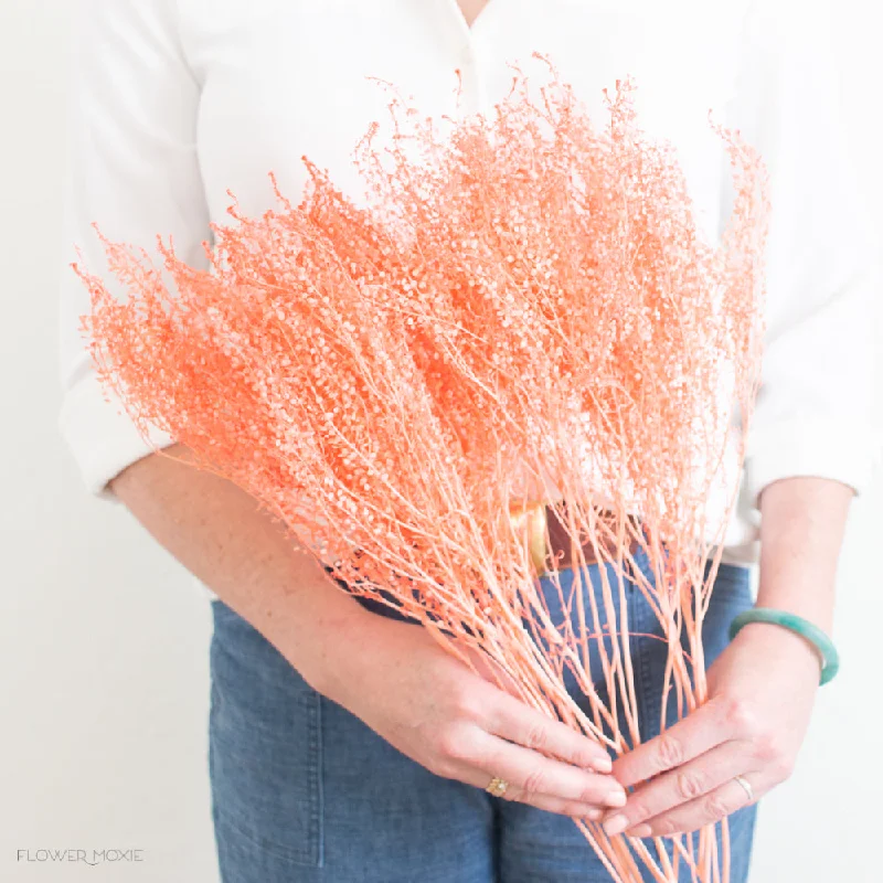 decorative glass flower jar -Dried Coral Lipidium Pennycress