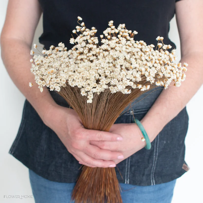 small colorful flower vase -Dried Natural Star Flowers