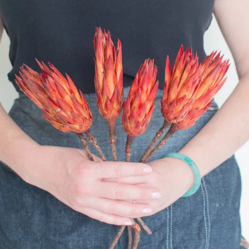 glass vase for floral arrangements -Dried Protea Repens Flower