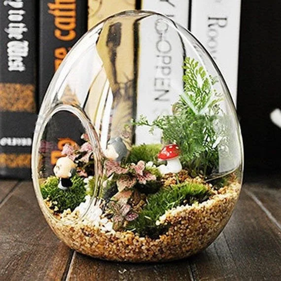 handmade flower vase for floral arrangements -Egg Glass Terrarium 6/pk