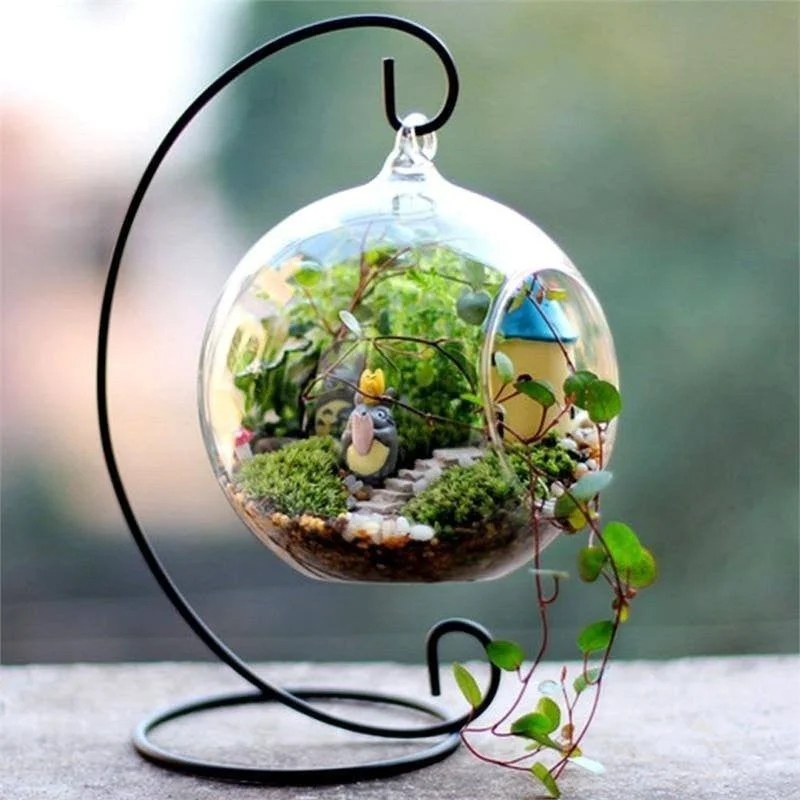 minimalistic glass flower vase -Graceful Globe Glass Terrarium 4/pk