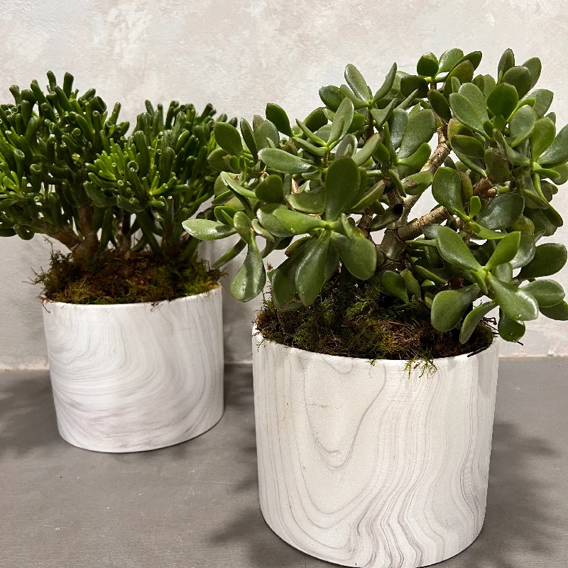 gold flower vase -Marble Planters