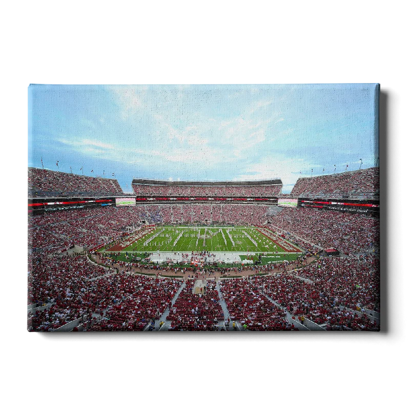 large nature-inspired abstract paintings-Alabama Crimson Tide - Bama Million Dollar Band