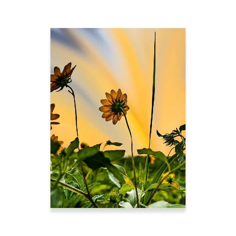 custom abstract wall paintings-Beach Sunflowers