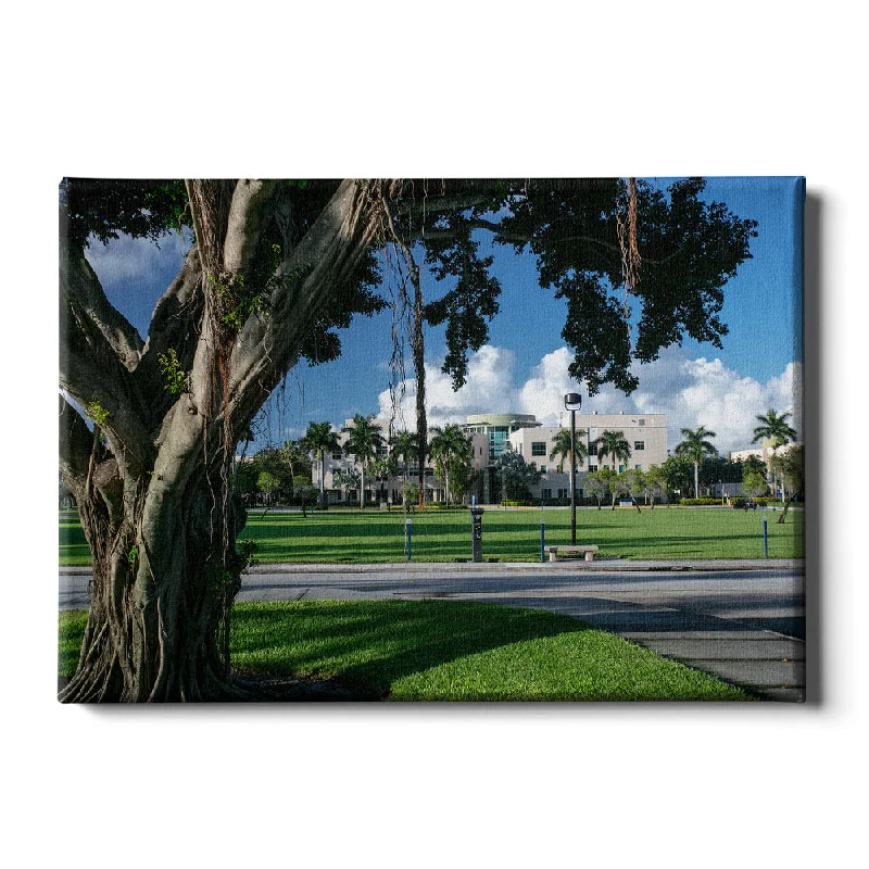 unique artistic wall decorative paintings-Florida Atlantic Owls - Banyan Tree