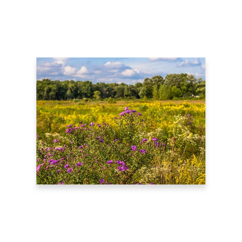 nature-inspired wall decorative paintings-Flowering Prairie at Middlefork Savanna