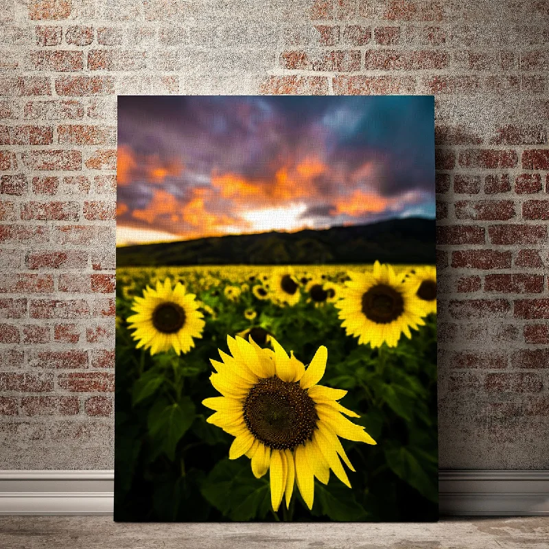 decorative flower art paintings-Maui Sunflowers