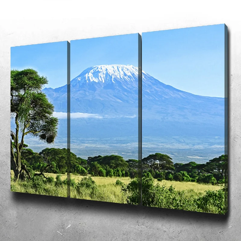 wall art decorative paintings-Mount Kilimanjaro Canvas Set