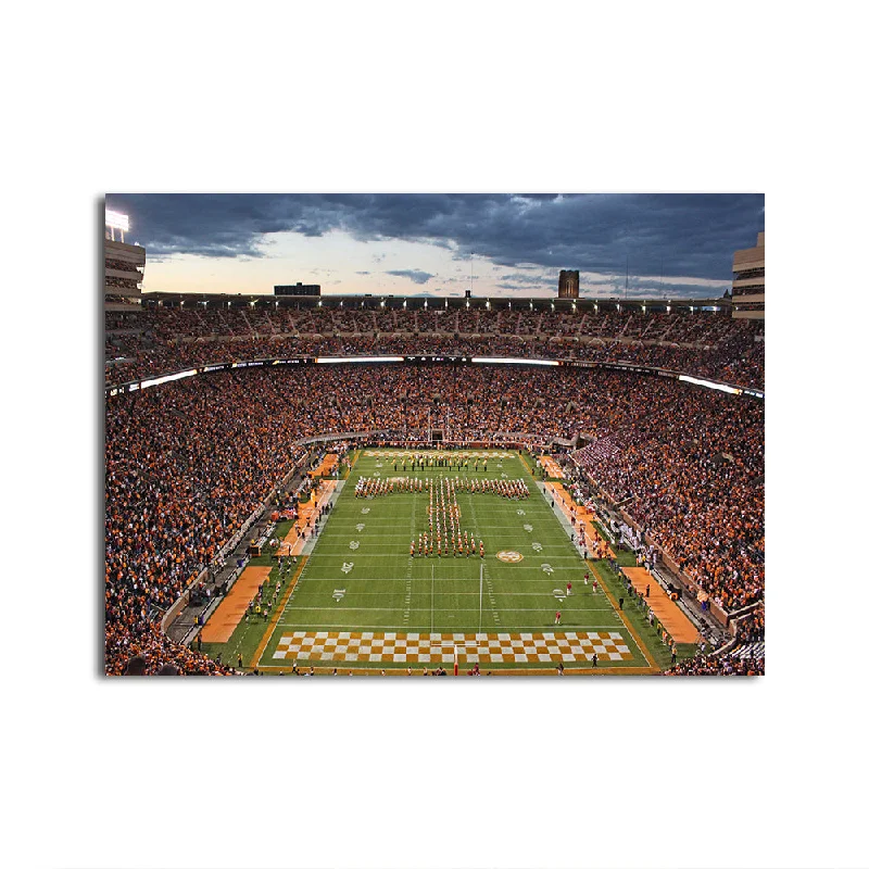 nature and wildlife decorative paintings-Neyland Stadium