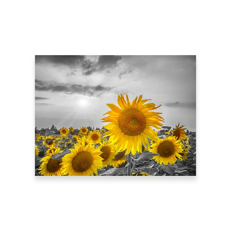 abstract geometric wall decorative paintings-Sunflower Field - Yellow Color Pop