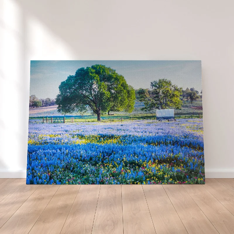 peaceful nature decorative paintings-Texas Hill Country in Spring