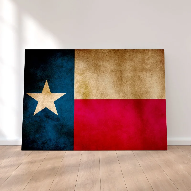 modern decorative paintings for home-Texas State Flag