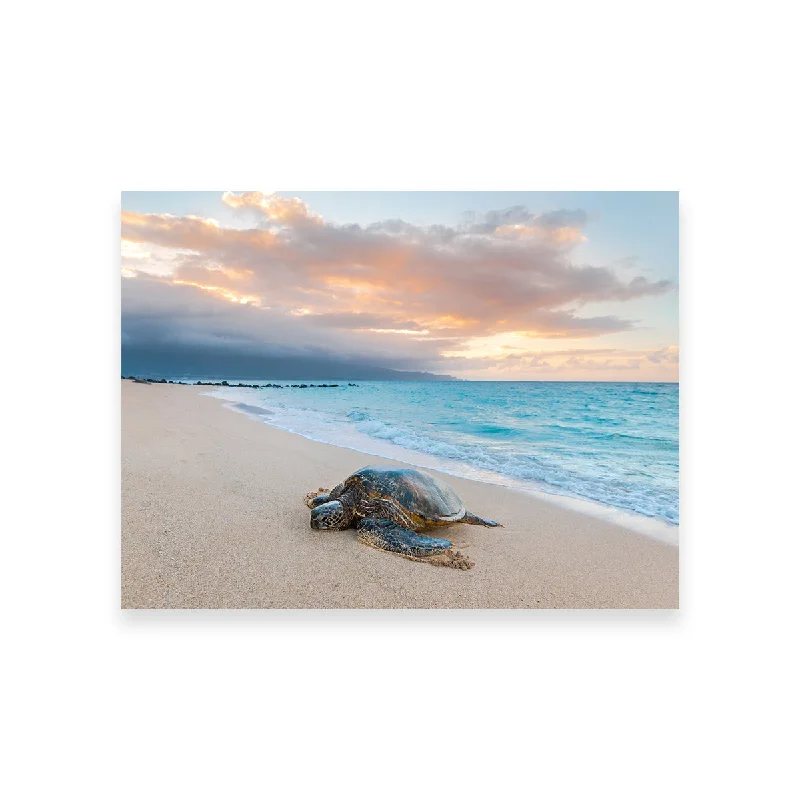 water-based decorative paintings-Turtle Sunset