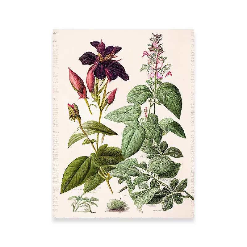 elegant nature-inspired decorative paintings-Vintage Botanical Print Series 5