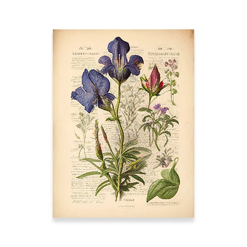 custom nature decorative paintings-Vintage Botanical Print Series 7