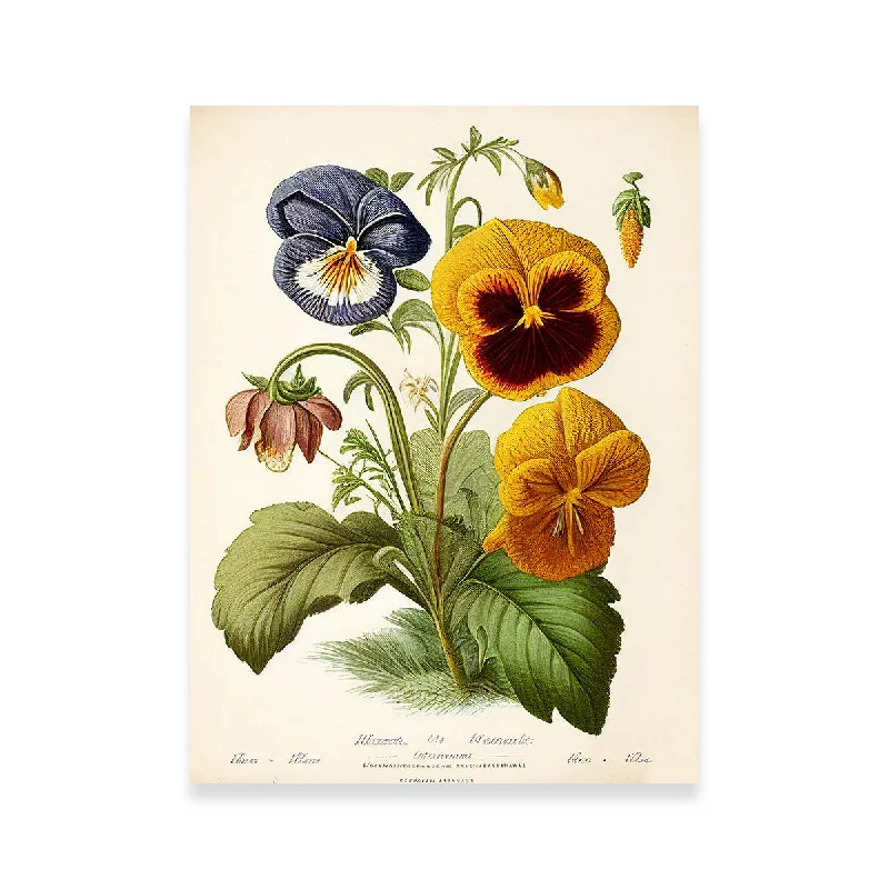 minimalist nature decorative paintings-Vintage Botanical Print Series 9